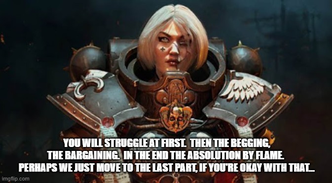 Sisters of Battle meme | YOU WILL STRUGGLE AT FIRST.  THEN THE BEGGING, THE BARGAINING.  IN THE END THE ABSOLUTION BY FLAME.  PERHAPS WE JUST MOVE TO THE LAST PART, IF YOU'RE OKAY WITH THAT... | image tagged in sisters of battle,adepta sororitas,warhammer 40k,warhammer 40000 | made w/ Imgflip meme maker