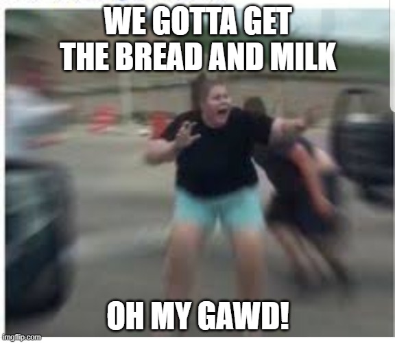 Bread and milk | WE GOTTA GET THE BREAD AND MILK; OH MY GAWD! | image tagged in scared girl | made w/ Imgflip meme maker