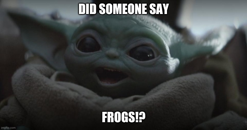 DID SOMEONE SAY; FROGS!? | image tagged in baby yoda | made w/ Imgflip meme maker