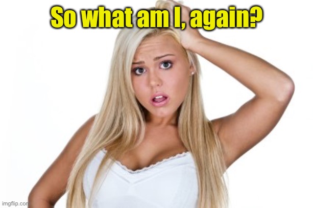 Dumb Blonde | So what am I, again? | image tagged in dumb blonde | made w/ Imgflip meme maker