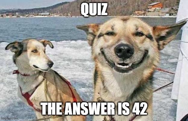 Quiz | QUIZ; THE ANSWER IS 42 | image tagged in memes,original stoner dog | made w/ Imgflip meme maker