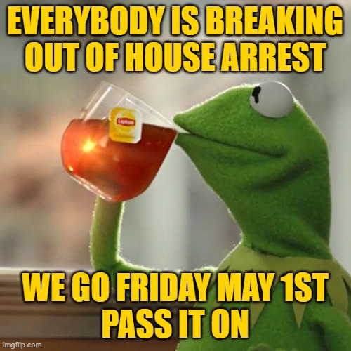 But That's None Of My Business Meme | EVERYBODY IS BREAKING OUT OF HOUSE ARREST WE GO FRIDAY MAY 1ST
PASS IT ON | image tagged in memes,but that's none of my business,kermit the frog | made w/ Imgflip meme maker