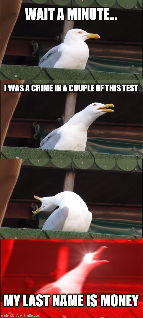 Inhaling Seagull | WAIT A MINUTE... I WAS A CRIME IN A COUPLE OF THIS TEST; MY LAST NAME IS MONEY | image tagged in memes,inhaling seagull | made w/ Imgflip meme maker