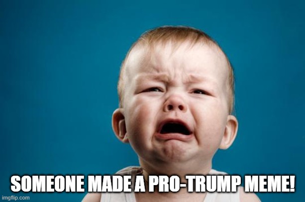 BABY CRYING | SOMEONE MADE A PRO-TRUMP MEME! | image tagged in baby crying | made w/ Imgflip meme maker