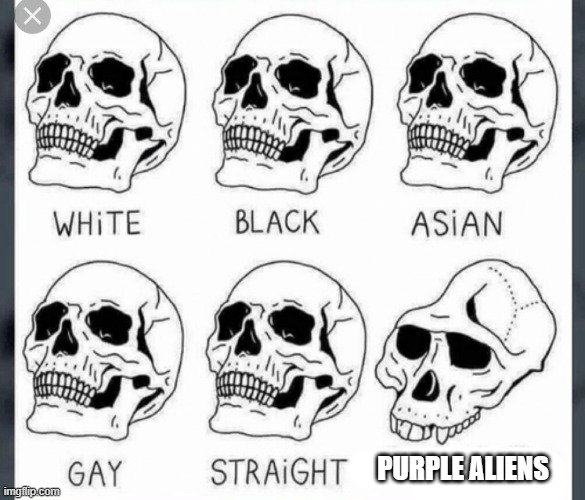 White Black Asian Gay Straight skull template | PURPLE ALIENS | image tagged in white black asian gay straight skull template | made w/ Imgflip meme maker