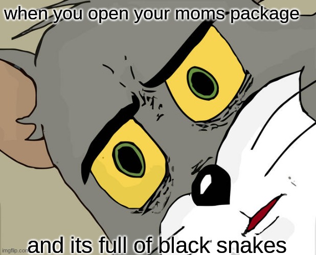 Unsettled Tom | when you open your moms package; and its full of black snakes | image tagged in memes,unsettled tom | made w/ Imgflip meme maker