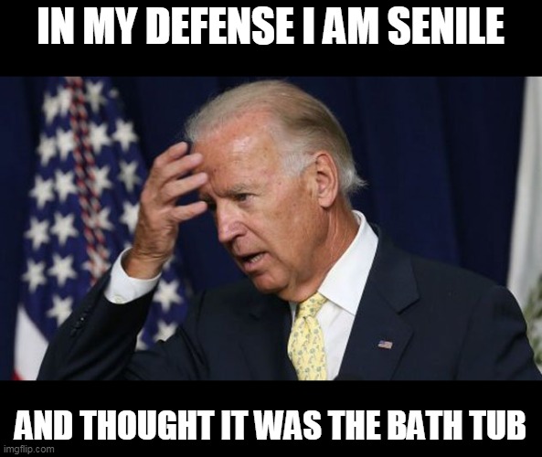 Joe Biden worries | IN MY DEFENSE I AM SENILE AND THOUGHT IT WAS THE BATH TUB | image tagged in joe biden worries | made w/ Imgflip meme maker