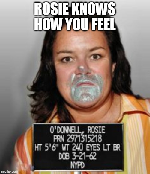 rosie odonell mugshot | ROSIE KNOWS HOW YOU FEEL | image tagged in rosie odonell mugshot | made w/ Imgflip meme maker