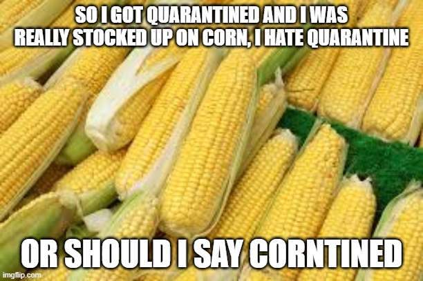 Corn Puns | SO I GOT QUARANTINED AND I WAS REALLY STOCKED UP ON CORN, I HATE QUARANTINE; OR SHOULD I SAY CORNTINED | image tagged in corn,puns,memes | made w/ Imgflip meme maker