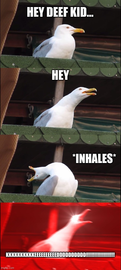 Inhaling Seagull | HEY DEEF KID... HEY; *INHALES*; KKKKKKKKKKEEEEEEEEEEDDDDDDDDDD!!!!!!!!!!!!!!!!!!!! | image tagged in memes,inhaling seagull | made w/ Imgflip meme maker