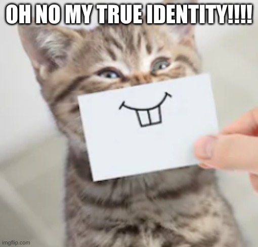 True Identity Cat | OH NO MY TRUE IDENTITY!!!! | image tagged in true identity cat,funny memes | made w/ Imgflip meme maker