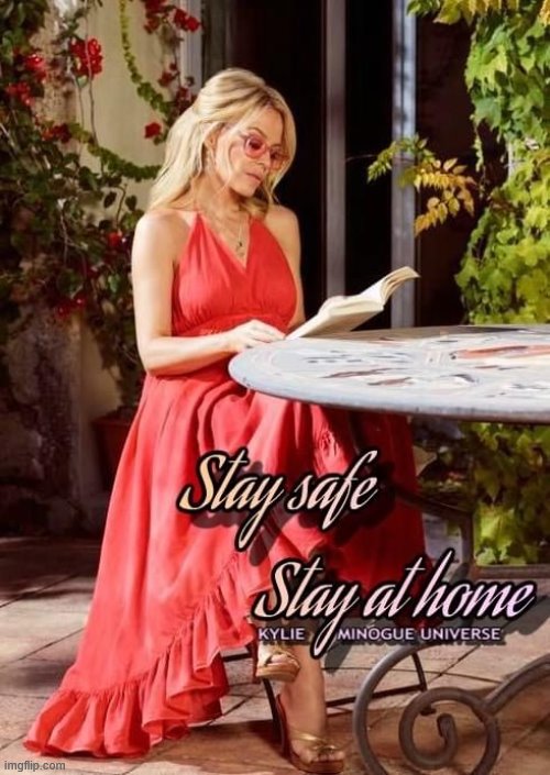 Kylie stay safe | image tagged in kylie stay safe | made w/ Imgflip meme maker