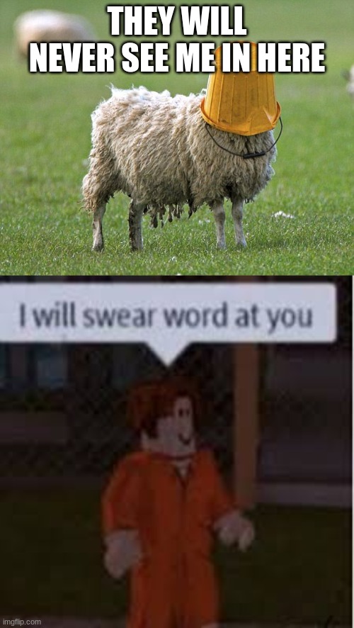 i will swear word at you | THEY WILL NEVER SEE ME IN HERE | image tagged in stupid sheep | made w/ Imgflip meme maker