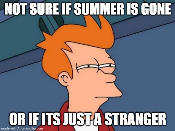 Strangely Haunting | NOT SURE IF SUMMER IS GONE; OR IF ITS JUST A STRANGER | image tagged in memes,futurama fry | made w/ Imgflip meme maker