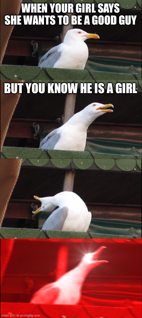 Inhaling Seagull Meme | WHEN YOUR GIRL SAYS SHE WANTS TO BE A GOOD GUY; BUT YOU KNOW HE IS A GIRL | image tagged in memes,inhaling seagull | made w/ Imgflip meme maker