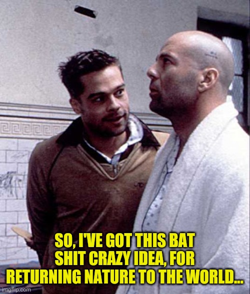 12 Monkeys | SO, I'VE GOT THIS BAT SHIT CRAZY IDEA, FOR RETURNING NATURE TO THE WORLD... | image tagged in covid-19 | made w/ Imgflip meme maker