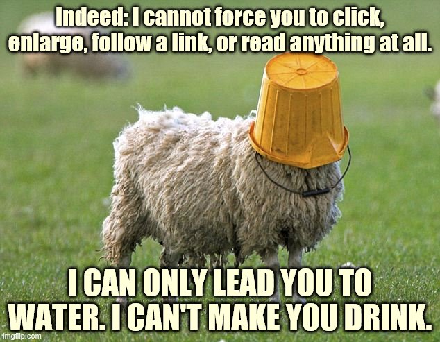 I cannot force you to do anything. | Indeed: I cannot force you to click, enlarge, follow a link, or read anything at all. I CAN ONLY LEAD YOU TO WATER. I CAN'T MAKE YOU DRINK. | image tagged in stupid sheep,reading,knowledge,knowledge is power,universal knowledge,sheeple | made w/ Imgflip meme maker