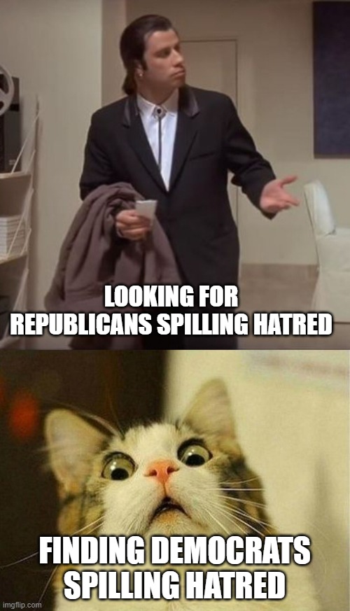 LOOKING FOR REPUBLICANS SPILLING HATRED FINDING DEMOCRATS SPILLING HATRED | image tagged in memes,scared cat,confused travolta | made w/ Imgflip meme maker