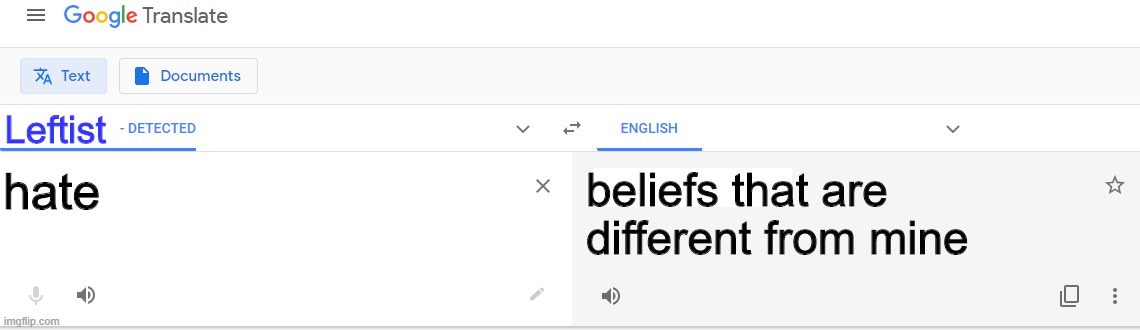 Finally figured out what they meant | Leftist hate beliefs that are different from mine | image tagged in translate - detect language | made w/ Imgflip meme maker
