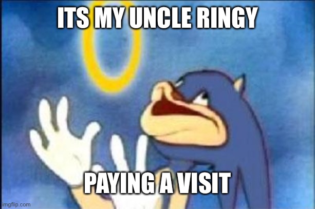 Sonic derp | ITS MY UNCLE RINGY; PAYING A VISIT | image tagged in sonic derp | made w/ Imgflip meme maker