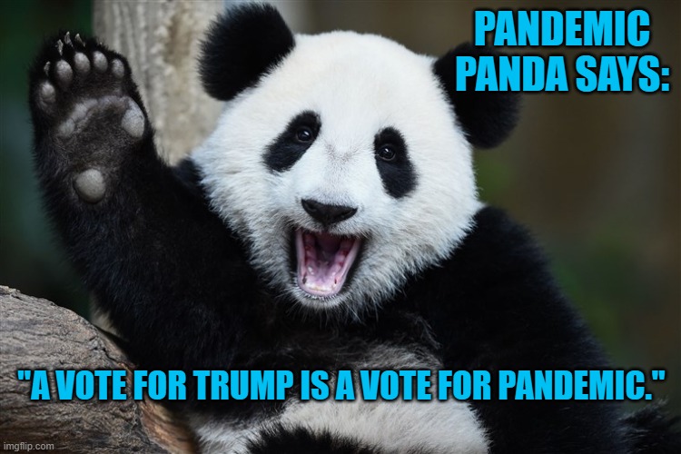Vote Pandemic! | PANDEMIC PANDA SAYS:; "A VOTE FOR TRUMP IS A VOTE FOR PANDEMIC." | image tagged in politics | made w/ Imgflip meme maker