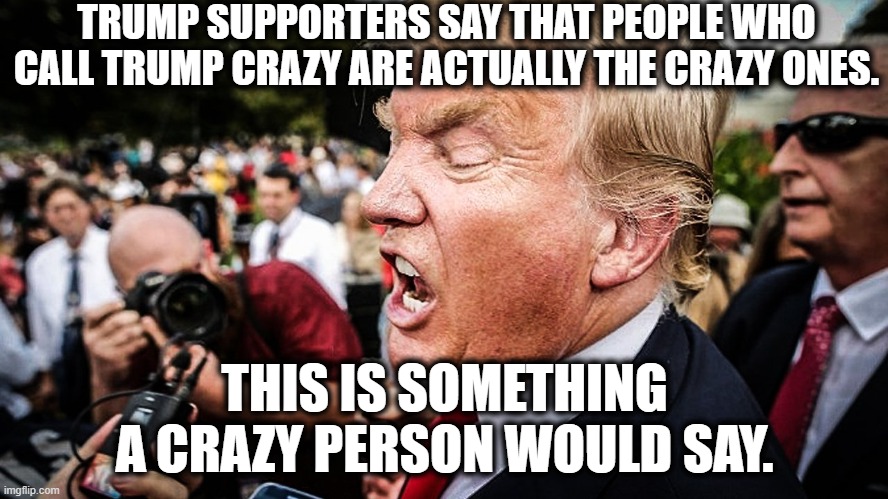 Seriously? | TRUMP SUPPORTERS SAY THAT PEOPLE WHO CALL TRUMP CRAZY ARE ACTUALLY THE CRAZY ONES. THIS IS SOMETHING A CRAZY PERSON WOULD SAY. | image tagged in donald trump,crazy,trump supporters,coronavirus,traitor,russia | made w/ Imgflip meme maker
