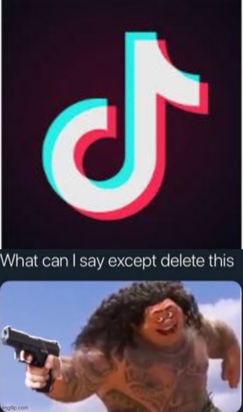 when maui sees tik tok | image tagged in tik tok,what can i say except delete this | made w/ Imgflip meme maker