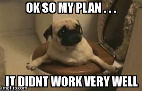 image tagged in funny,dogs,animals,pugs | made w/ Imgflip meme maker