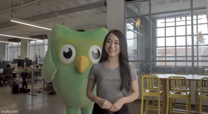 duolingo plush toy