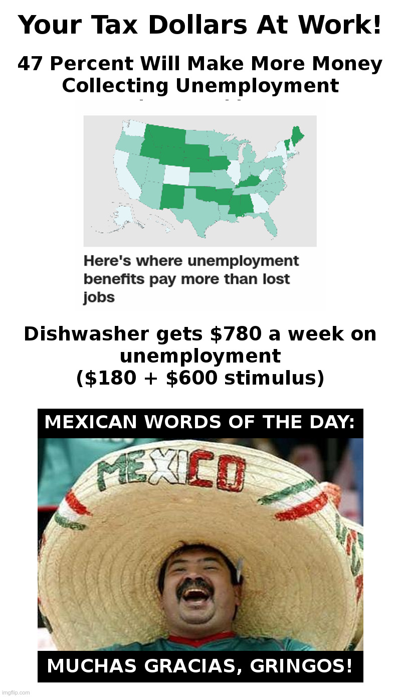 Your Tax Dollars At Work! | image tagged in mexican word of the day,unemployment,check,happy mexican,coronavirus,insanity | made w/ Imgflip meme maker