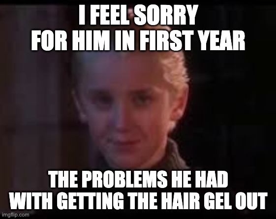 Hair Problems | I FEEL SORRY FOR HIM IN FIRST YEAR; THE PROBLEMS HE HAD WITH GETTING THE HAIR GEL OUT | image tagged in harry potter,memes | made w/ Imgflip meme maker