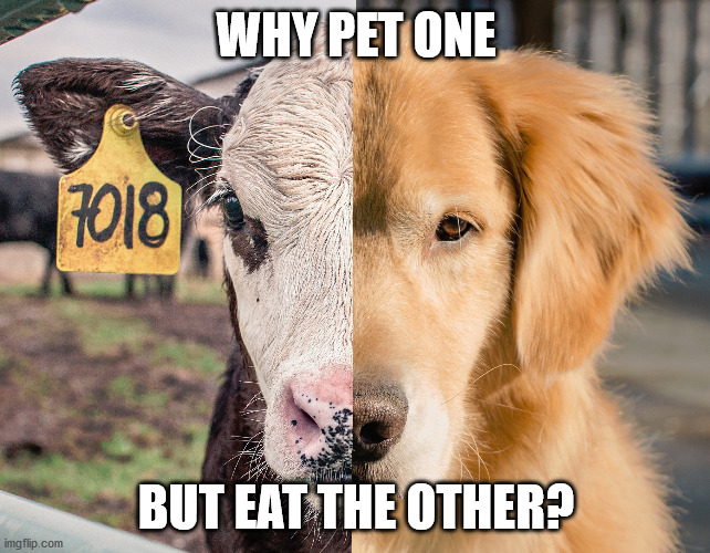 WHY PET ONE; BUT EAT THE OTHER? | made w/ Imgflip meme maker