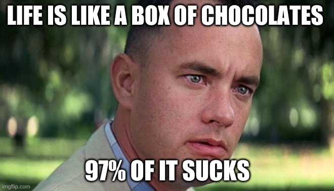 Forest Gump | LIFE IS LIKE A BOX OF CHOCOLATES; 97% OF IT SUCKS | image tagged in forest gump | made w/ Imgflip meme maker