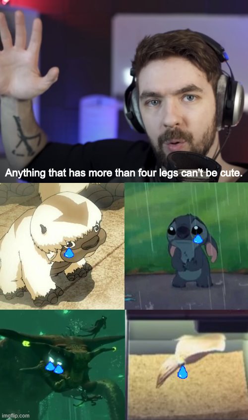 Anything that has more than four legs can't be cute. | image tagged in blank white template | made w/ Imgflip meme maker