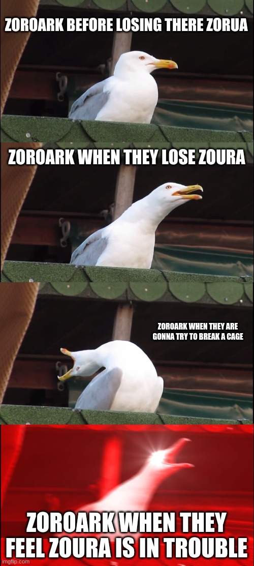 Inhaling Seagull | ZOROARK BEFORE LOSING THERE ZORUA; ZOROARK WHEN THEY LOSE ZOURA; ZOROARK WHEN THEY ARE GONNA TRY TO BREAK A CAGE; ZOROARK WHEN THEY FEEL ZOURA IS IN TROUBLE | image tagged in memes,inhaling seagull | made w/ Imgflip meme maker