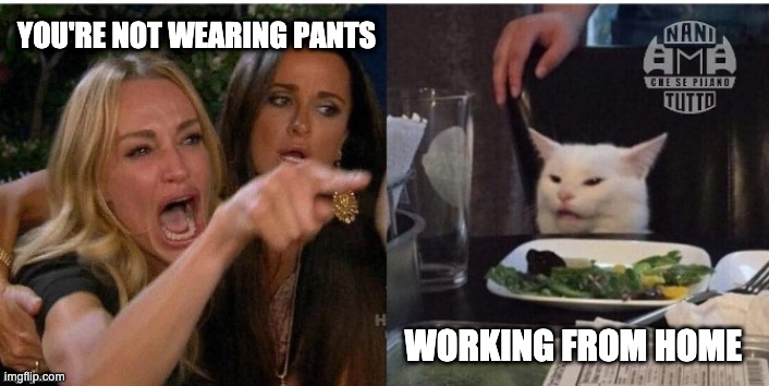 WFH, Bitch. | YOU'RE NOT WEARING PANTS; WORKING FROM HOME | image tagged in white cat table | made w/ Imgflip meme maker