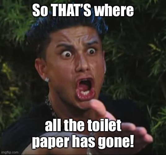 DJ Pauly D Meme | So THAT’S where all the toilet paper has gone! | image tagged in memes,dj pauly d | made w/ Imgflip meme maker