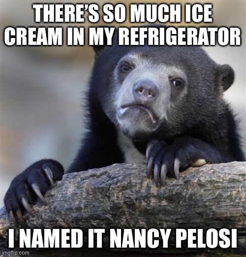 Confession Bear Meme | THERE’S SO MUCH ICE CREAM IN MY REFRIGERATOR; I NAMED IT NANCY PELOSI | image tagged in memes,confession bear | made w/ Imgflip meme maker