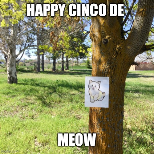 Tree cat | HAPPY CINCO DE; MEOW | image tagged in tree cat | made w/ Imgflip meme maker