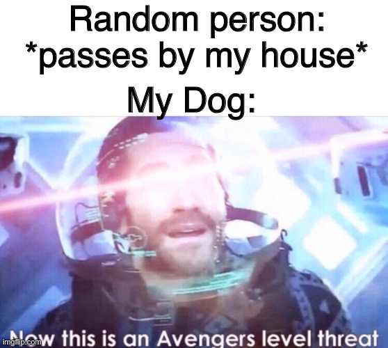 Now this is an avengers level threat | Random person: *passes by my house*; My Dog: | image tagged in now this is an avengers level threat | made w/ Imgflip meme maker