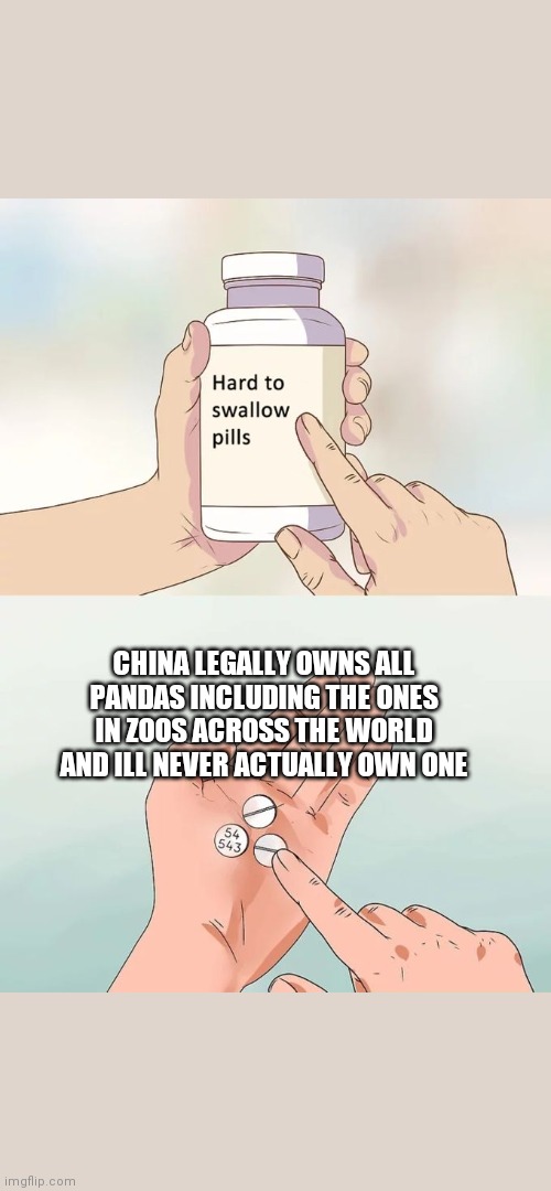 Hard To Swallow Pills | CHINA LEGALLY OWNS ALL PANDAS INCLUDING THE ONES IN ZOOS ACROSS THE WORLD AND ILL NEVER ACTUALLY OWN ONE | image tagged in memes,hard to swallow pills,panda | made w/ Imgflip meme maker