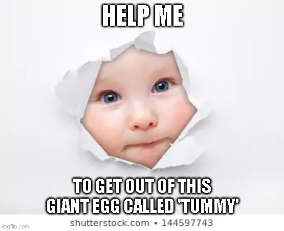 HELP ME; TO GET OUT OF THIS GIANT EGG CALLED 'TUMMY' | image tagged in memes,baby meme | made w/ Imgflip meme maker