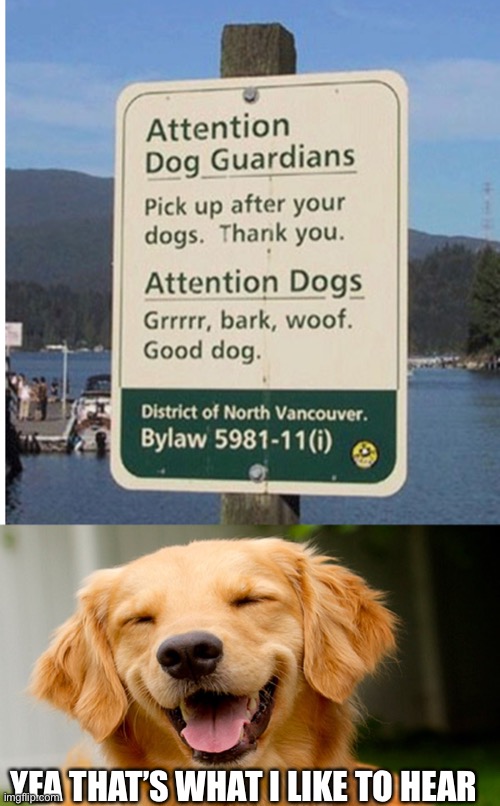 This dog knows something we don’t about what that sign says | YEA THAT’S WHAT I LIKE TO HEAR | image tagged in smiling dog,dogs,funny,lol,funny signs | made w/ Imgflip meme maker