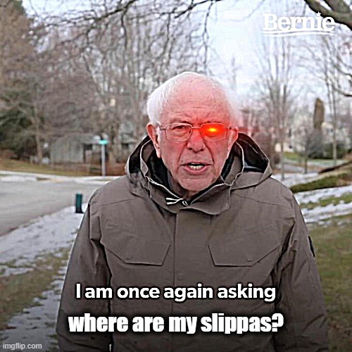 Bernie I Am Once Again Asking For Your Support Meme Imgflip