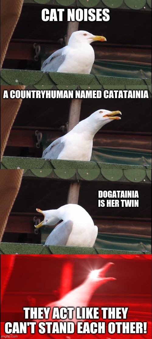 Conspericy threory | CAT NOISES; A COUNTRYHUMAN NAMED CATATAINIA; DOGATAINIA IS HER TWIN; THEY ACT LIKE THEY CAN'T STAND EACH OTHER! | image tagged in memes,inhaling seagull | made w/ Imgflip meme maker