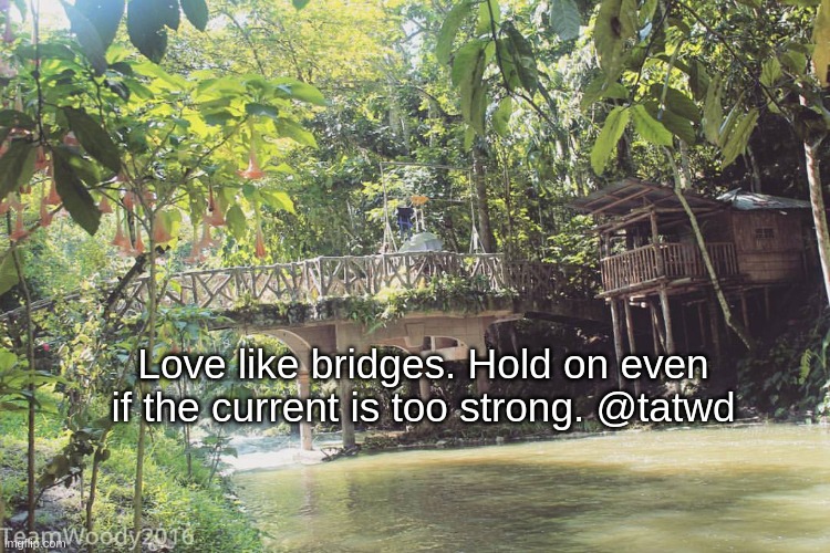 Love like bridges | Love like bridges. Hold on even if the current is too strong. @tatwd | image tagged in thoughts at the wake of dawn,tatwd,bridge | made w/ Imgflip meme maker