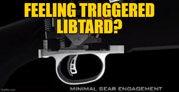 FEELING TRIGGERED LIBTARD? | made w/ Imgflip meme maker