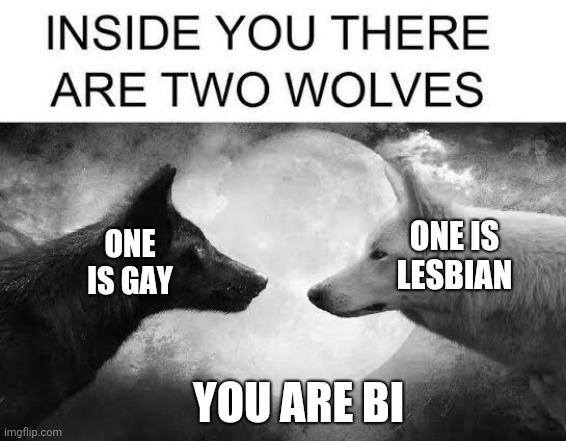 You are a bi wolf | ONE IS LESBIAN; ONE IS GAY; YOU ARE BI | image tagged in there are two wolves inside you | made w/ Imgflip meme maker