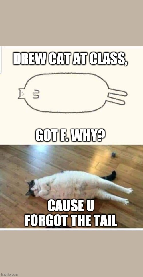 Cat | DREW CAT AT CLASS, GOT F. WHY? CAUSE U FORGOT THE TAIL | image tagged in cat | made w/ Imgflip meme maker