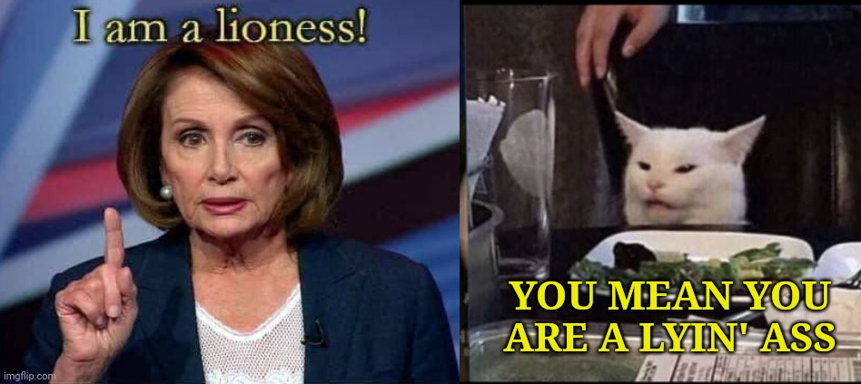 YOU MEAN YOU ARE A LYIN' ASS | image tagged in political meme | made w/ Imgflip meme maker